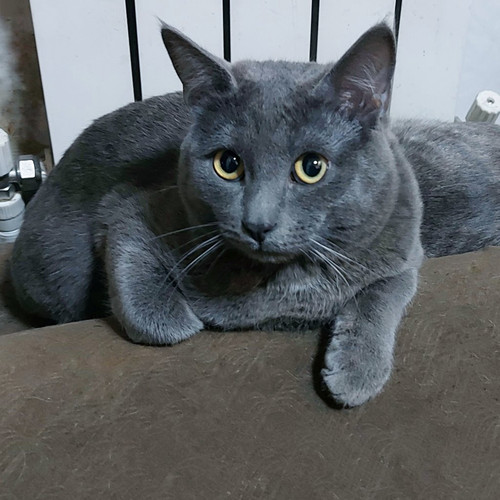 G b5NnaaAAA6Zr2?format=jpg.jpg