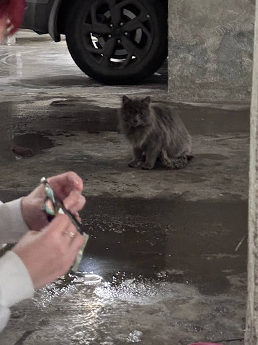 G b48X5WQAAO1Y ?format=jpg.jpg