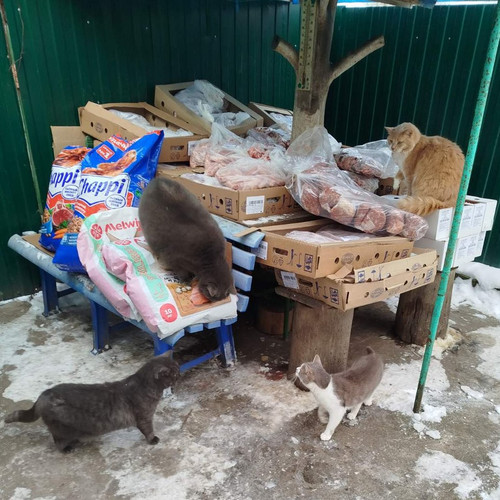 G cBvqoW8AAO6aG?format=jpg.jpg