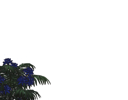 customdecors spirited 1(2).png