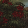 customdecors spirited 2 100x100.png