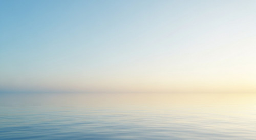 92f68b3c 5562 4ae6 bfe4 6aae442e454e.jpg