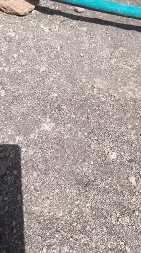 sa29EDBydoUwbOH .jpg