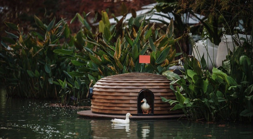 G cJQysWAAAlz7 ?format=jpg.jpg