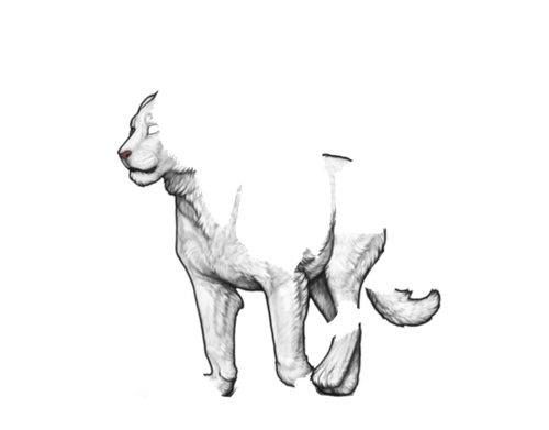 1000010420.png