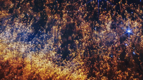 gwIguDaxSiWnFwQ .jpg