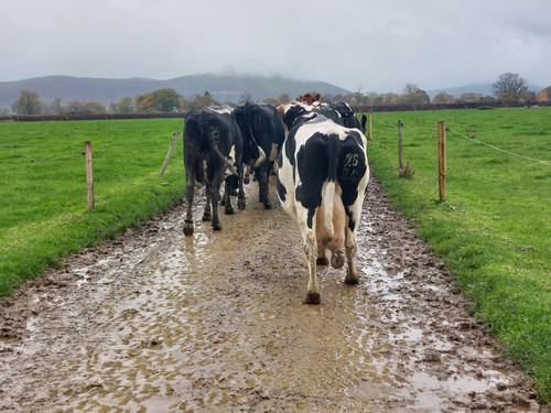 G ViNPDWYAAlQp4?format=jpg.jpg