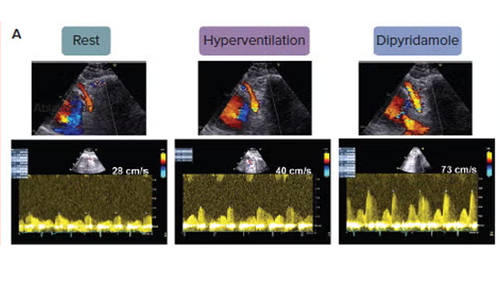 G Vw6kgWEAAGH5d?format=png.png