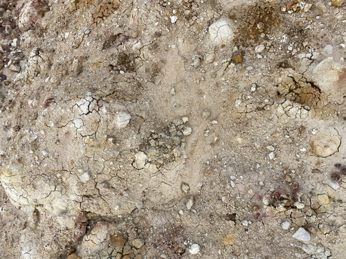 B13 (57).jpg