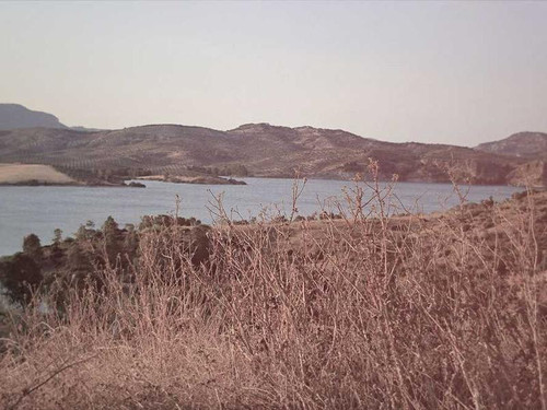 e3628bc4a22d.jpg