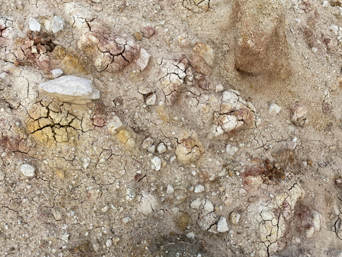 B13 (19).jpg
