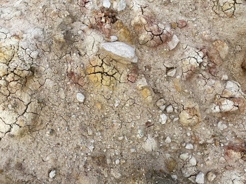 B13 (20).jpg