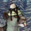 lioden Minty Chip.png