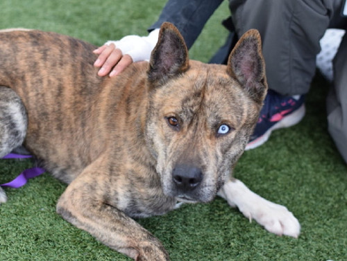 G lRrXW4AARRuH?format=jpg.jpg