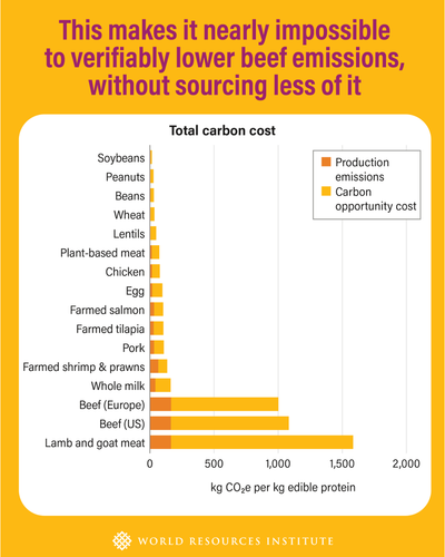 G cLt lagAEhDhF?format=png.png