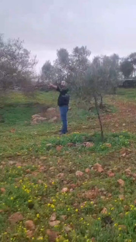 aQawy35OHDal HLp.jpg