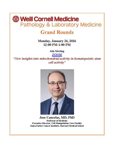 G bv rTWMAAnzTs?format=jpg.jpg