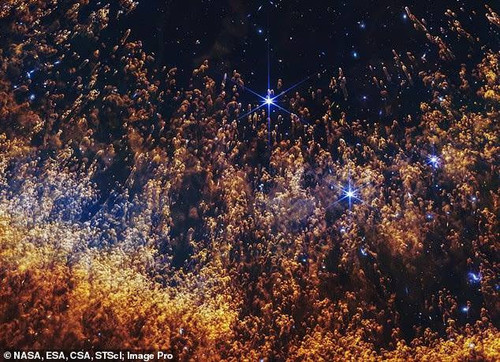 iMlslMyOzNaxH8SeNgZWpItnjf2zrSfAOfQ9 WyqAVU0 U1x1bA8UFfylohj4N NPCrsNSx79nTlkWOB5YeCWKqF5 QSS 3ZJBqF.jpg