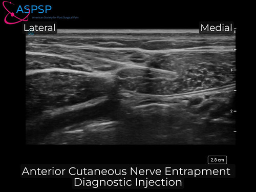 pZ i7GuxJl8t07IC.jpg