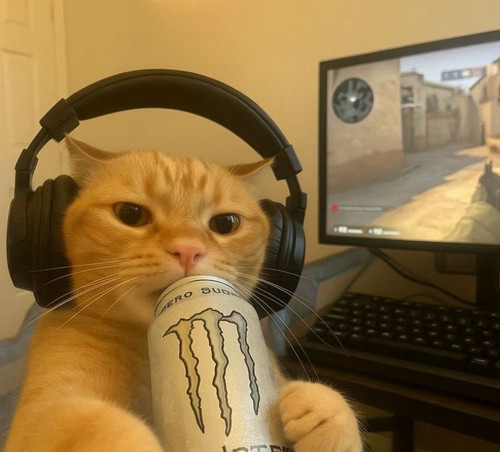 G cNw3OWQAEkq8I.jpg