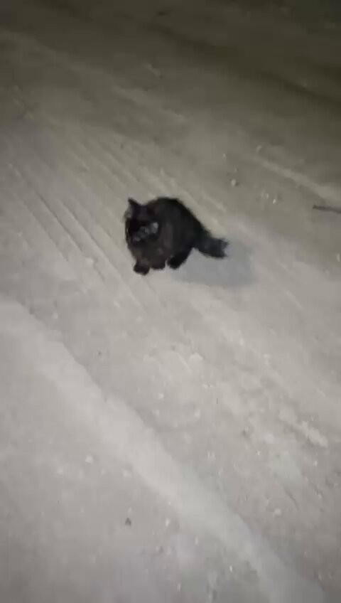 EHjqtta5EWDt3I3T.jpg