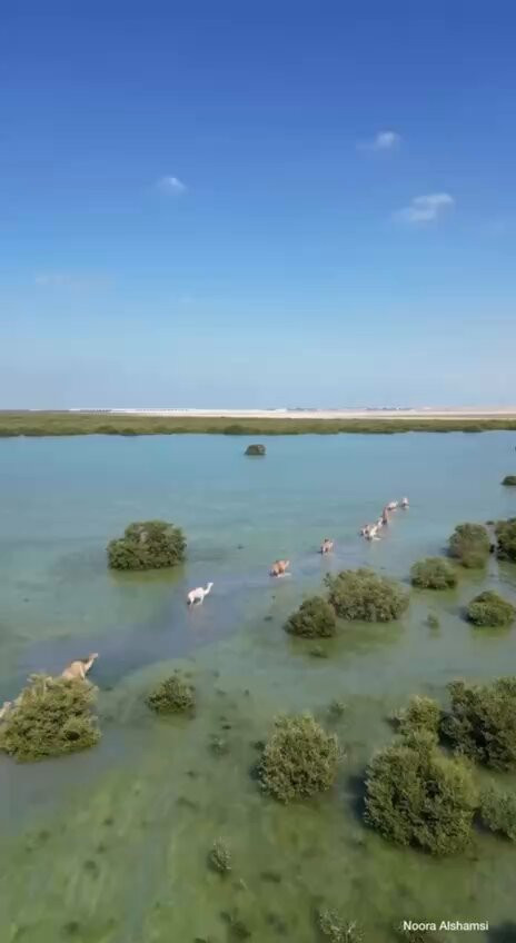 9Ky SogD6Qgf63vP.jpg