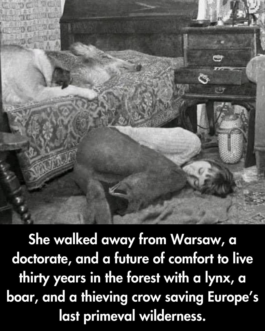 [Image: f6adVaI.jpg]