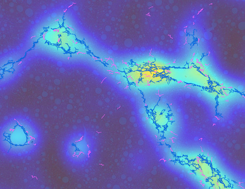 G YJTjvXQAAuHoz?format=jpg.jpg