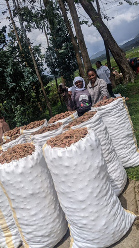 G Z8 y7WAAAHOKh?format=jpg.jpg