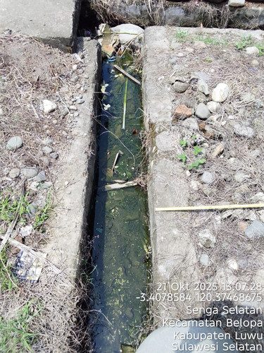 PERUMAHAN PURI PERMATA INDAH DRAINASE.jpg