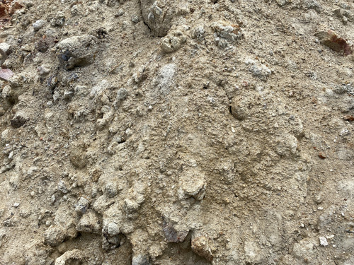 B9 (10).jpg