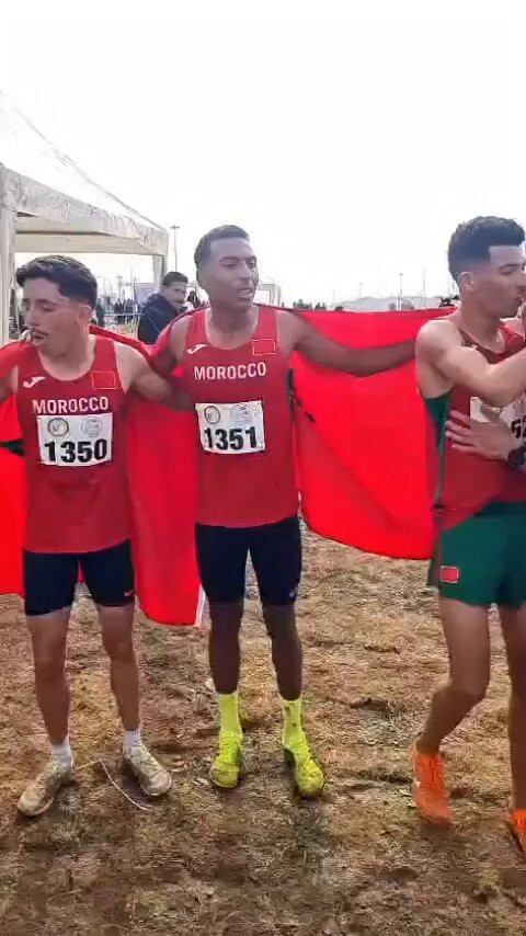 u0JEZiq73EnlTSa2.jpg