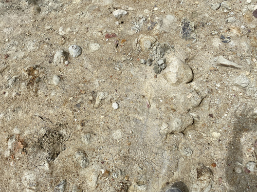 B9 (116).jpg