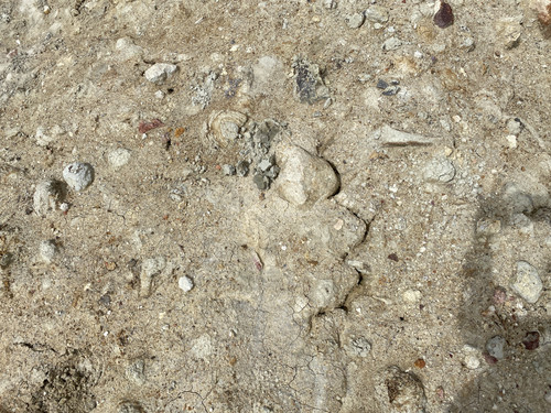 B9 (117).jpg
