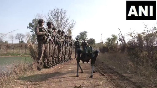 REY TNJRFP5DEcKP.jpg