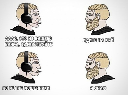IMG 8954.png