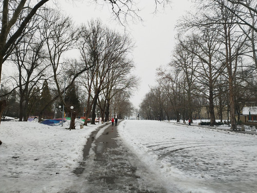 IMG 20260125 145223.jpg