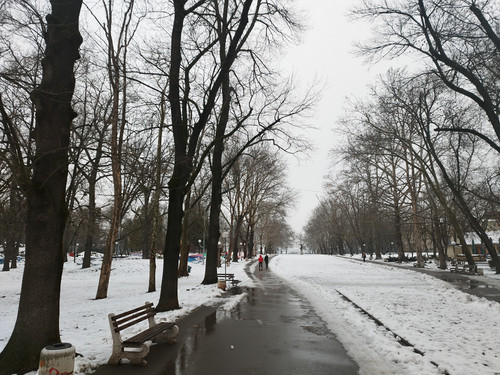 IMG 20260125 145200.jpg