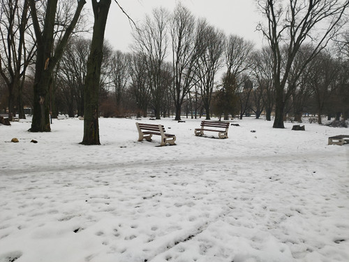 IMG 20260125 144350.jpg