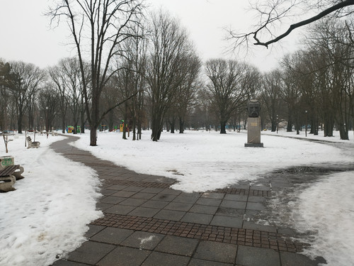 IMG 20260125 144224.jpg