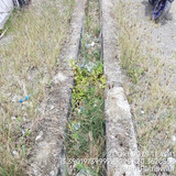 PERUMAHAN GRIYA MILLANIUNG DRAINASE