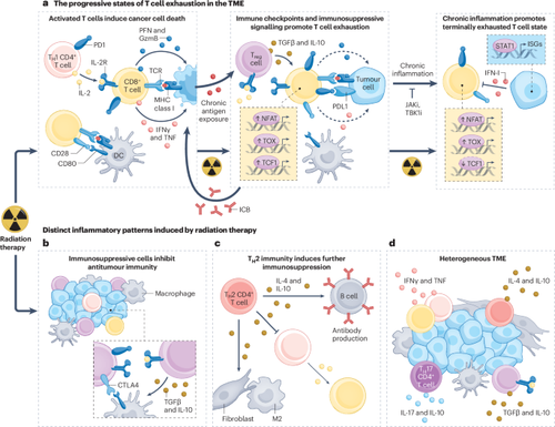 G ZcvvfacAA6Nf4?format=png.png