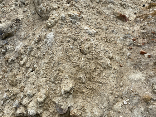 B9 (11).jpg