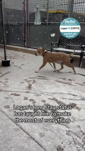 NkJgkEkJ2ZybpMy6.jpg