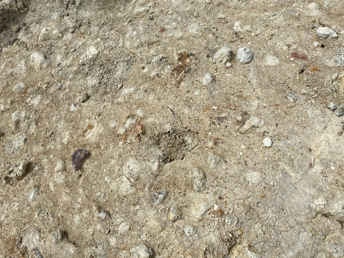 B9 (114).jpg
