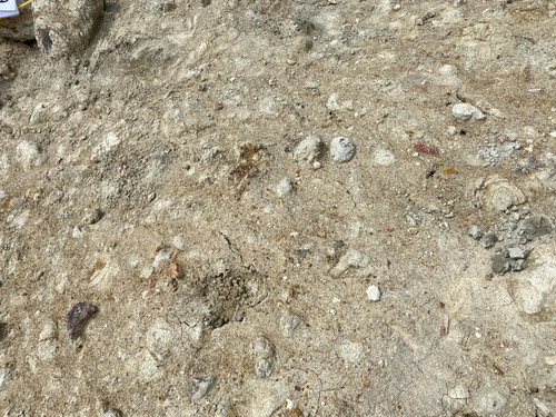 B9 (111).jpg