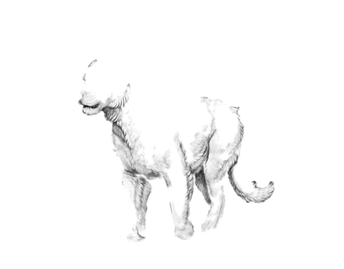 Untitled563 20260124172510.png