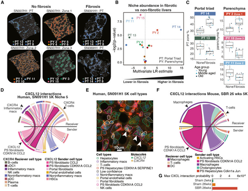 G TE9qaXQAAn76H?format=png.png