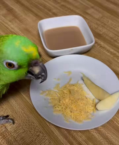 7n oSGidlqumUYFs.jpg