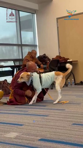 CUViRncJywJjC TS.jpg